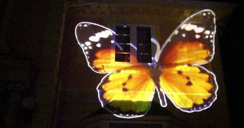 Бабочки летают бабочки фото